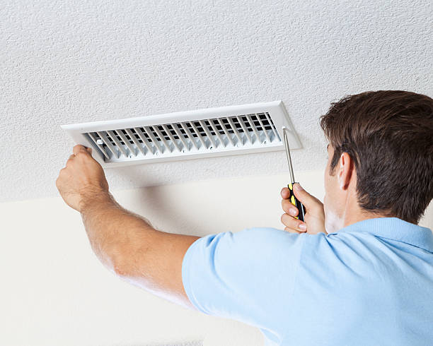 Environmental Consulting for Mold Prevention in Erwin, NC